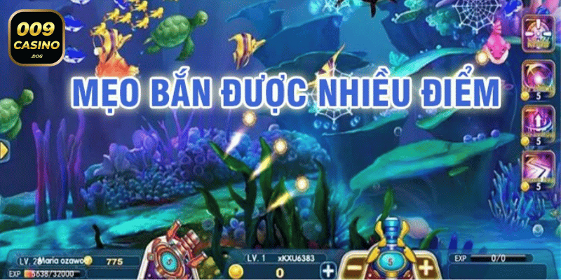 009 casino meo ban ca